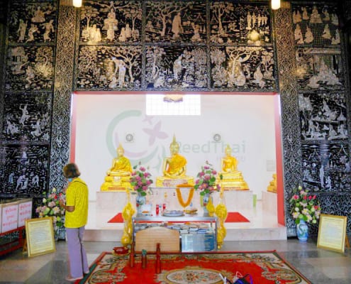 บริเวณที่ไหว้พระ วัดไผ่ตัน โดยร้าน Reedthai บริเวณที่ไหว้พระ วัดไผ่ตัน โดยร้าน Reedthai