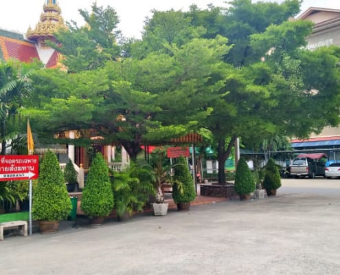 บริเวณในวัด โบสถ์ วัดแสนสุข โดยร้าน Reedthai บริเวณในวัด โบสถ์ วัดแสนสุข โดยร้าน Reedthai