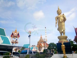 พระพุทธรูป วัดตะกล่ำ โดยร้าน Reedthai พระพุทธรูป วัดตะกล่ำ โดยร้าน Reedthai