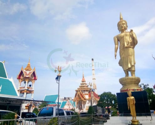 พระพุทธรูป วัดตะกล่ำ โดยร้าน Reedthai พระพุทธรูป วัดตะกล่ำ โดยร้าน Reedthai