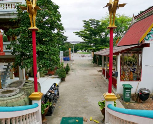 ภายในวัด วัดป่ากลางทุ่ง โดยร้าน Reedthai ภายในวัด วัดป่ากลางทุ่ง โดยร้าน Reedthai