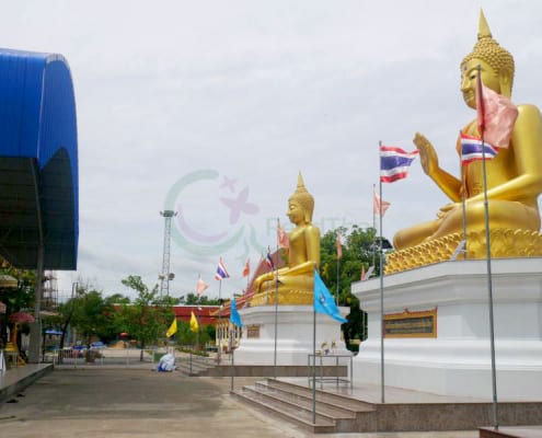 องค์พระใหญ่ วัดประยูรธรรมาราม โดยร้าน Reedthai องค์พระใหญ่ วัดประยูรธรรมาราม โดยร้าน Reedthai