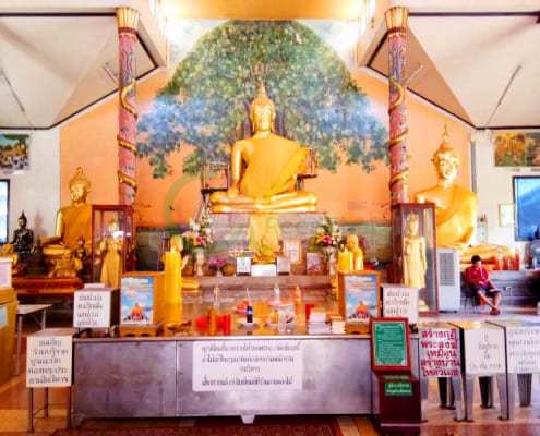 องค์พระใหญ่ วัดไผ่เงิน โดยร้าน Reedthai องค์พระใหญ่ วัดไผ่เงิน โดยร้าน Reedthai