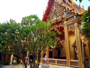 โบสถ์ วัดบางพลีใหญ่ใน โดยร้าน Reedthai โบสถ์ วัดบางพลีใหญ่ใน โดยร้าน Reedthai