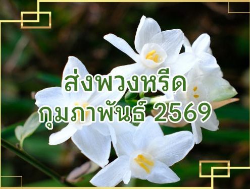 ประวัติส่งพวงหรีด 02 2026