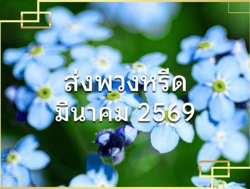 ประวัติส่งพวงหรีด 03 2026